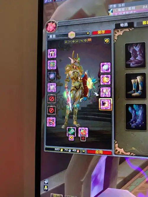 求助战士幻化圣骑士t6.5 鞋子问题