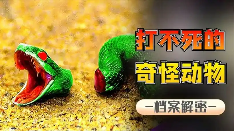 西瓜视频 - 高清免费在线视频 - 点亮对生活的好奇心