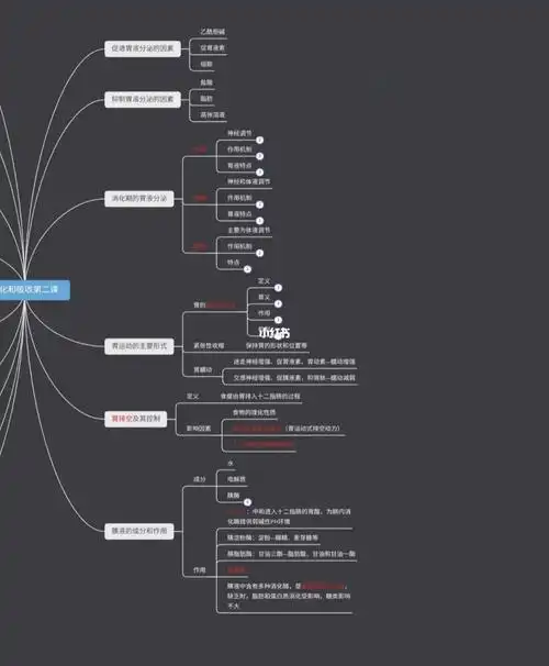 重点  #消化和吸收  #思维导图