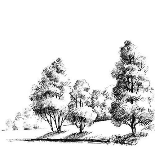 大树素描简笔画集