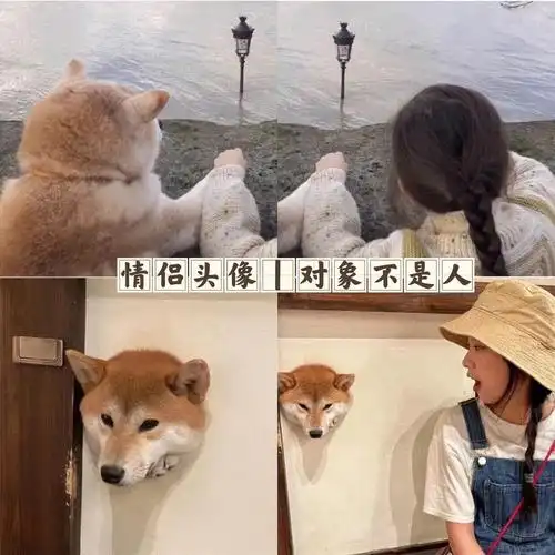 对象不是人系列可爱情头永远心事的靠山