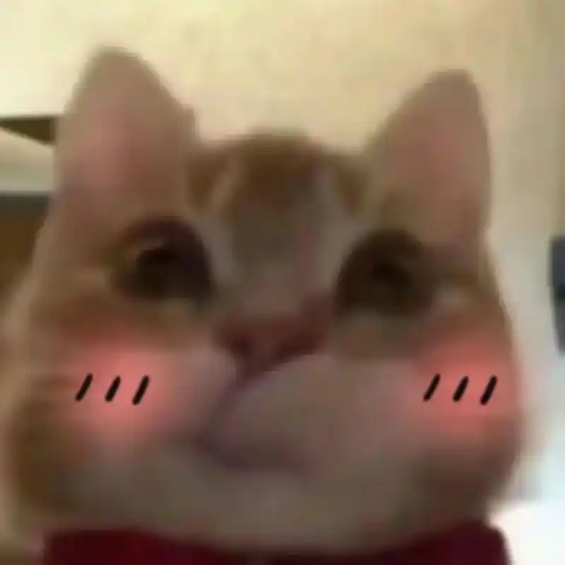 歪嘴小猫 #表情包 #沙雕表情包 #魔性 - 抖音