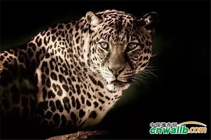 倒计时2天!摩登野兽墙布上海展动员大会力全开