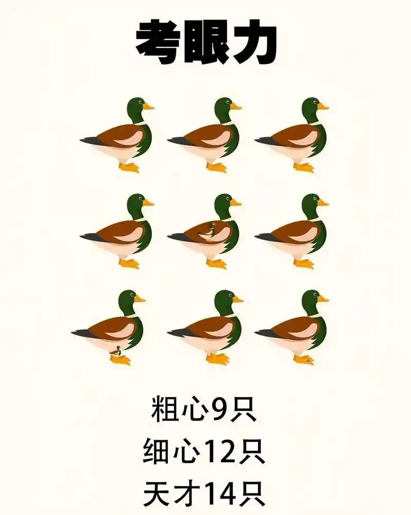 考眼力来了,一起来看看你能找到几只可爱的小鸭子?