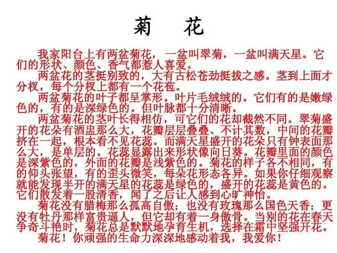 花朵只有钟表面那 么大,是单层的.花蕊显露出来形状像向日葵.