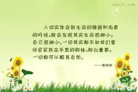 五,生命的意义在过程 经典句子