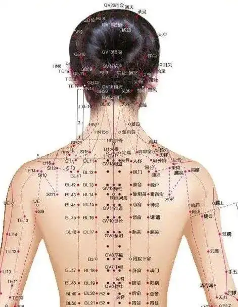 怎样避免颈椎成为你的死穴?
