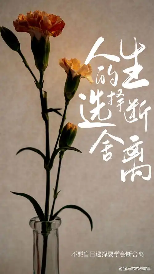 今日分享:真正治愈你的,是释怀和放下,是人生中最好的解脱