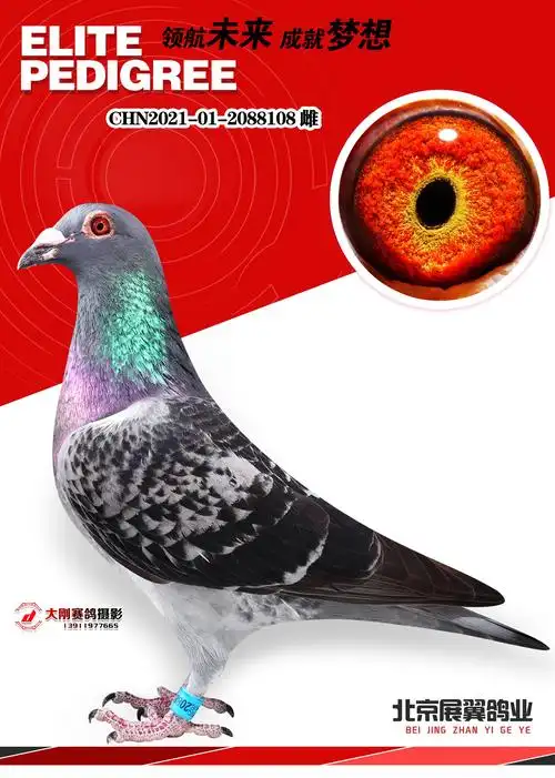 乔斯佛卡门x东方不败