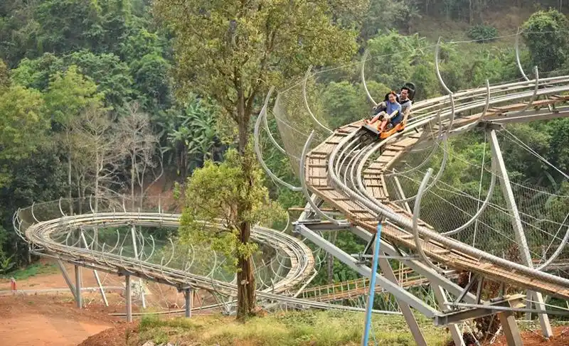 紧张刺激的丛林过山车,你敢来玩吗?