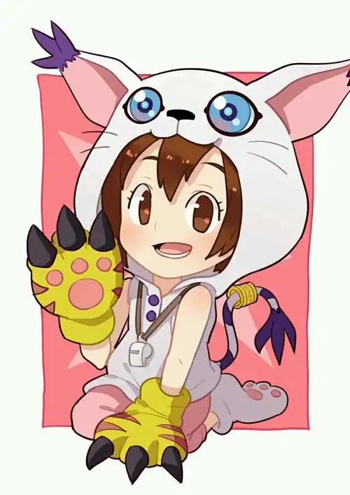 童年数码宝贝八神光嘉儿迪路兽