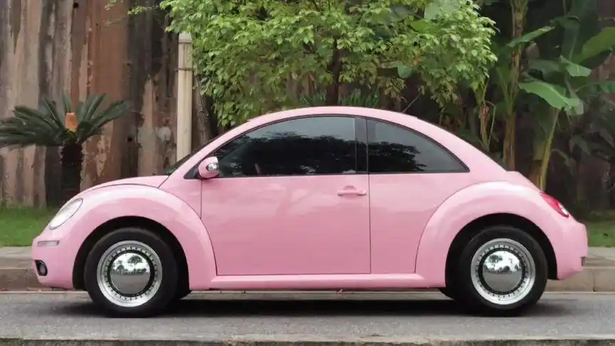 甲壳虫07款漂亮的粉色虫可爱不可爱