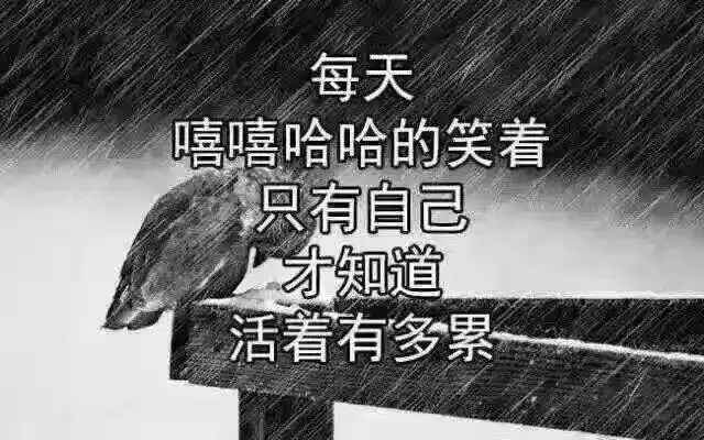 心累_第1张图片