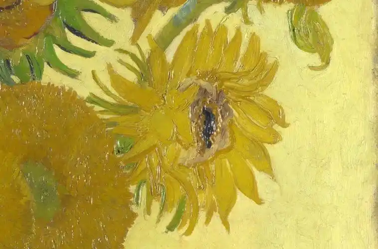 看了一眼梵高的向日葵,就再也没有忘记