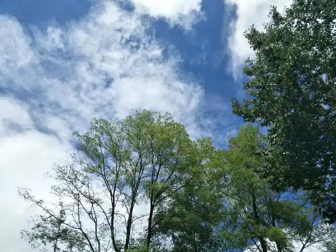 乡村天空,水墨丹青