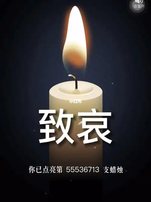 希望这一盏盏蜡烛能照亮你们回家的路,一路走好050505#愿天堂没