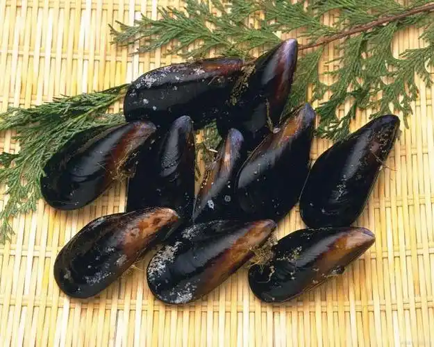 秋冬进补,海茄子与海参大pk!美食君带你揭秘,究竟谁是王者?