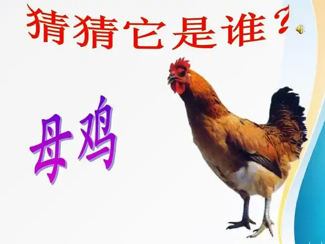 最新人教版小学一年级语文上册拼音jqx_ppt课件精品课件