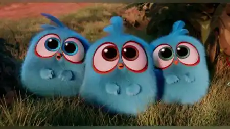 温暖治愈片#好呆萌呆萌的小鸟啊