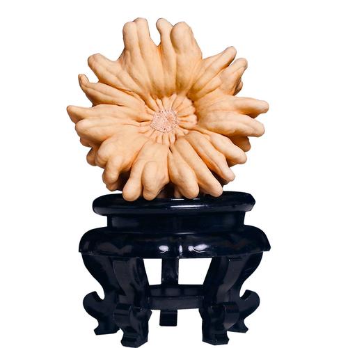 葫芦摆件手把件文玩疙瘩葫芦把玩墨西哥天然大号异形南瓜海星客厅