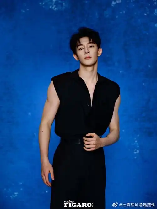 夏之光费加罗封面