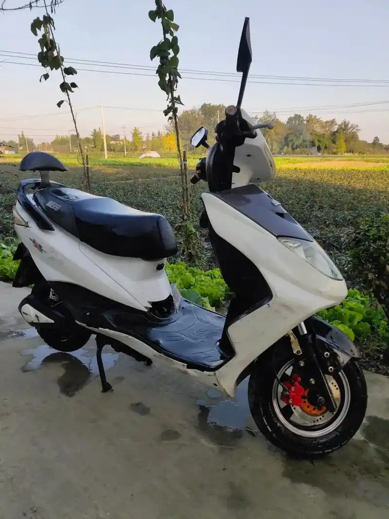到货爱玛两轮电动车,成色如图