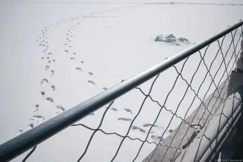 斜线构图看似容易这些细节你想到了吗摄影早自习第1278天