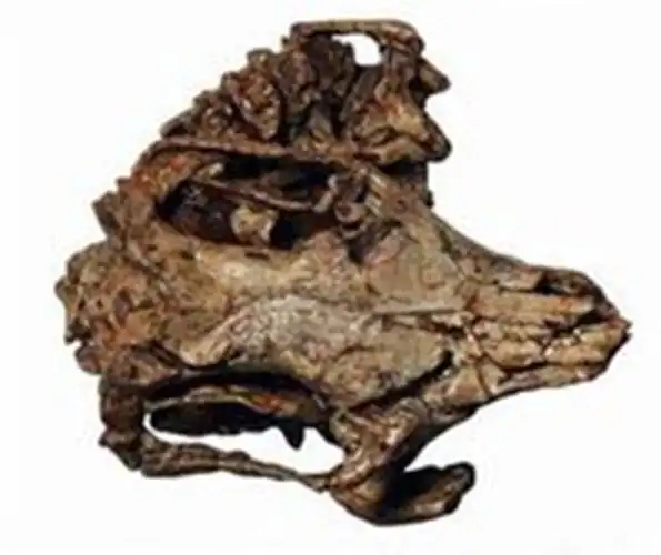 始王兽(eobasileus)