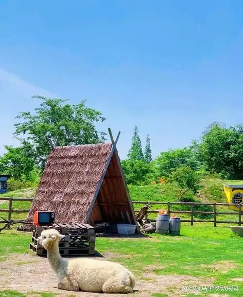 疯马牛萌宠乐园设计│亲子萌宠互动乐园到底值不值得投资?