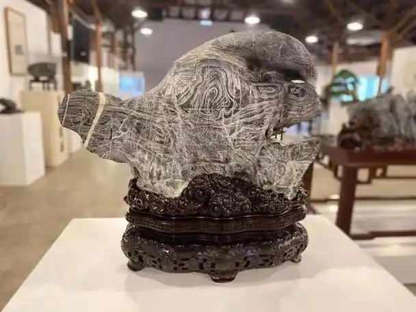 乌石有甲纹石(天赐瑰宝灵璧纹石)(5)