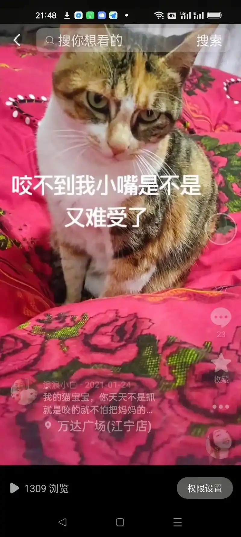 没生病前的图片和生病后的图片,乖乖快快好起来吧#关爱流浪猫  - 抖音