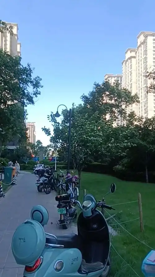 夏日炎炎蝉鸣声,万里晴空三伏天,火热天气盛夏景,天热植物长