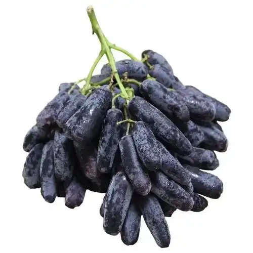 澳洲金手指黑提美人指葡萄黑手指拇指无籽提子2斤可包邮