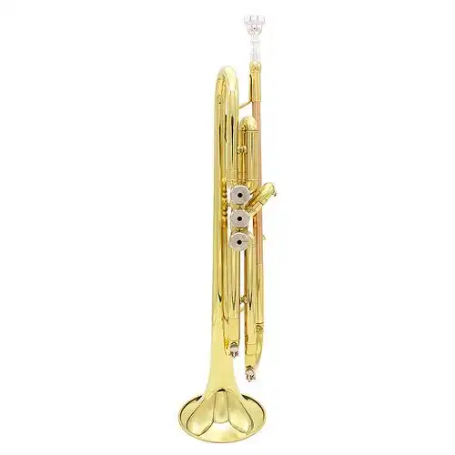 lade雷德降b磷铜小号西洋乐器管乐乐器成人学生都可用乐器