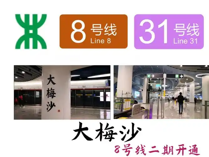 深圳地铁8号线开通,大梅沙31号线大致探访!