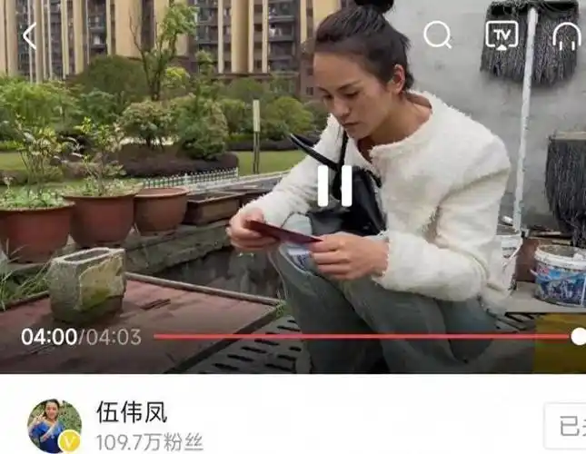 小木小凤十几年的婚姻离婚收场能共苦却不能同甘可惜