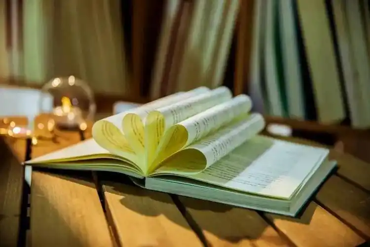 关于读书的唯美诗句(读书诗句大全唯美 )_爱阅读