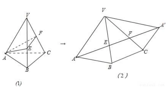 的侧面展开图是由公共顶点的若干个等腰三角形三角形所组成的平面图形