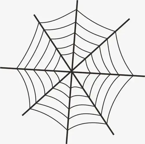 蜘蛛网