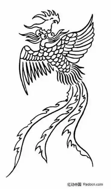 凤凰图片简笔画 凤凰图片简笔画简单