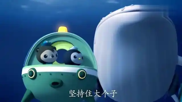 海底小纵队发现一只得了白化病的座头鲸太神奇了