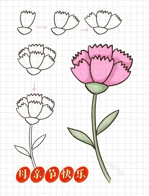 简笔画母亲节快乐简单手绘素材康乃馨教程