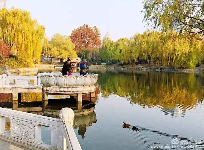 北京的园林——紫竹院公园