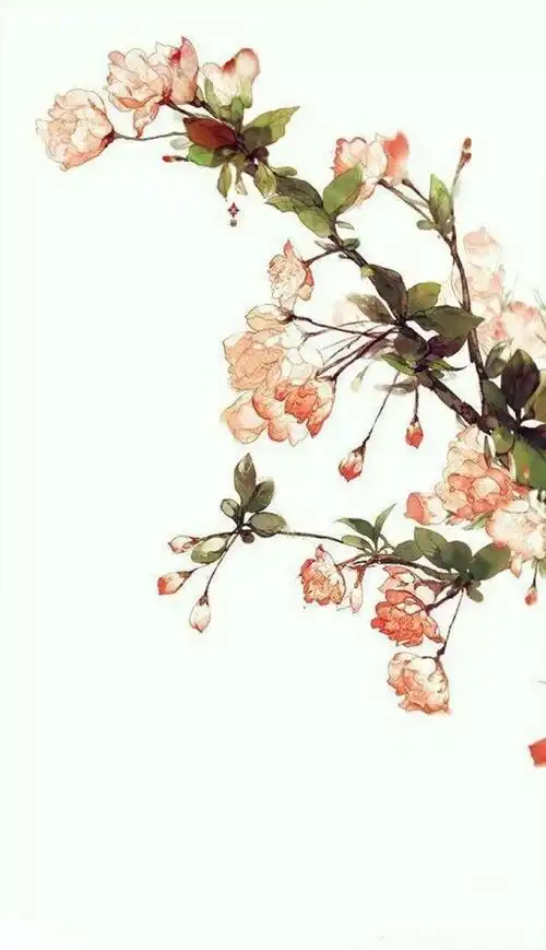 古风花卉美图花开花落不长久落红满地归寂中