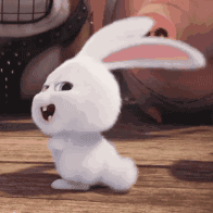 爱宠大机密兔子小白
