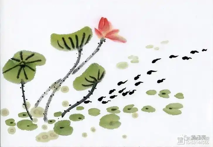 儿童水墨画课程:荷花