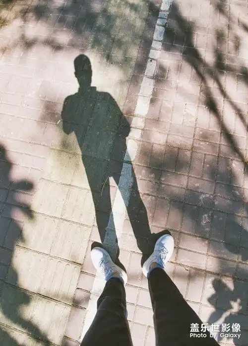 暖阳下,人和树的影子构成一个相映的画面.