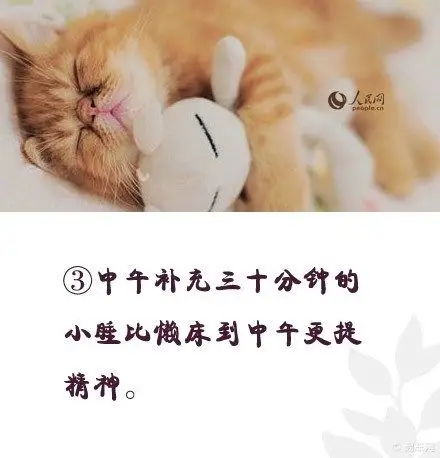 补觉!给春节熬夜的你!