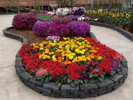 ①完善的设计方案; ②量身定制安全摆放节日花卉; ③节水型的自动灌溉