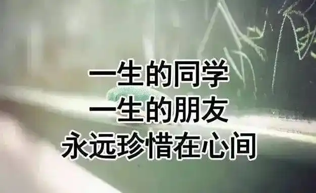 致我想念的老同学们~_首歌_荣辱_是一种